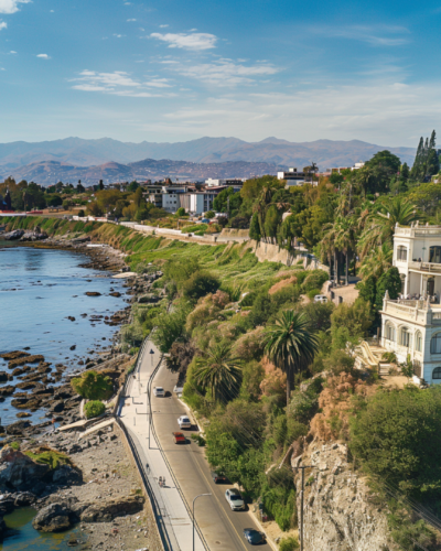 Aerial view of Viña del Mar's exquisite coastline with luxurious estates and palm-fringed roads, epitomizing luxury travel in Chile