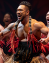 Māori cultural dance performance in Auckland