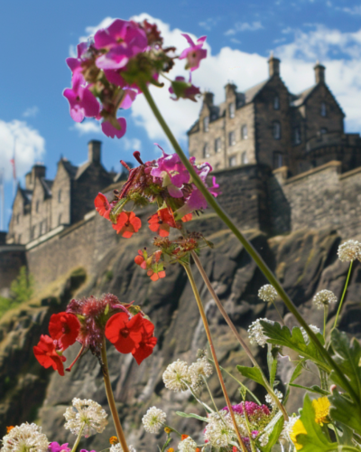 A chateau with colorful flowers in the foreground