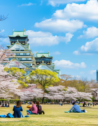 People sitting on the grass in Osaka Castle Park