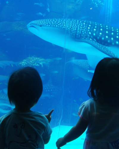 Kids watching a whale shark inside a huge aquarium in Osaka, Japan